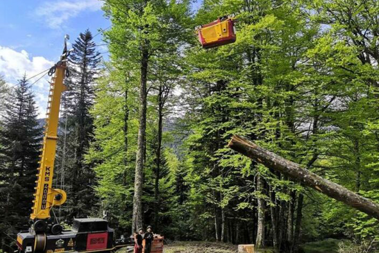 Foresterie Foresterie